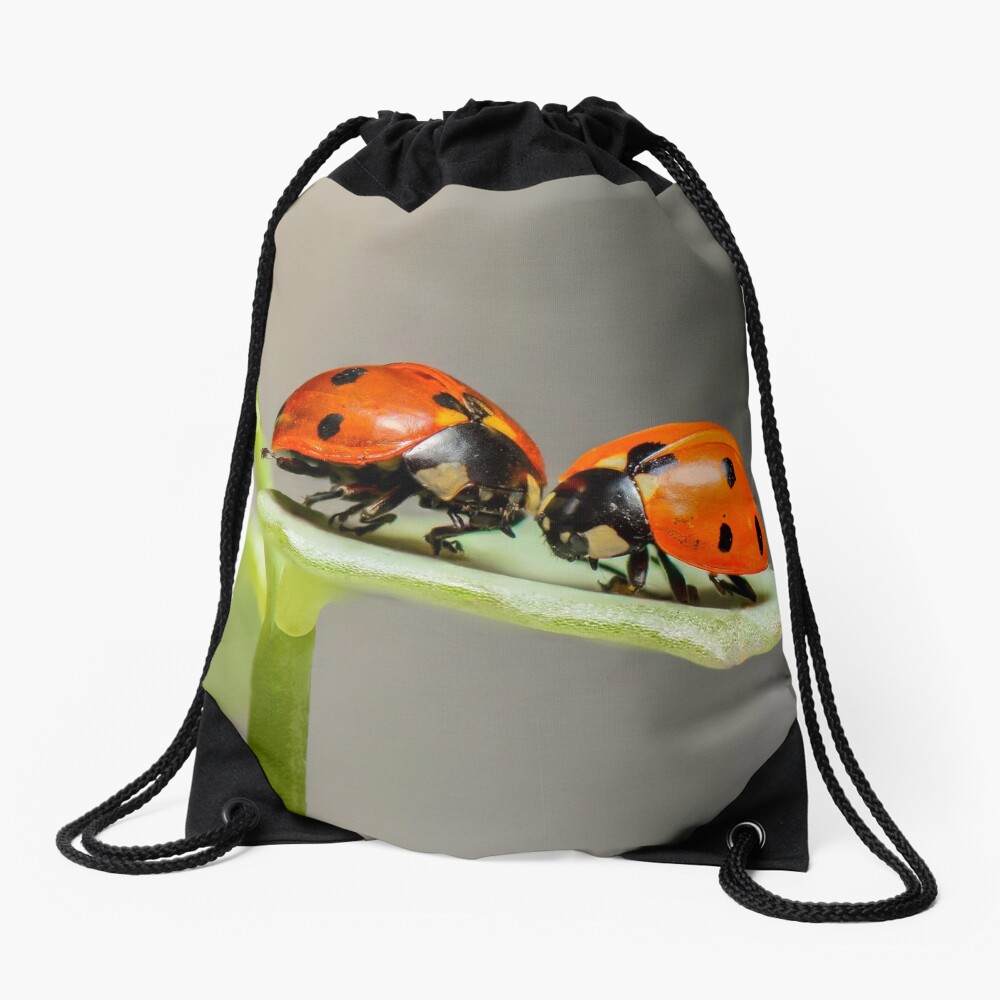 Ladybugs Drawstring Bag