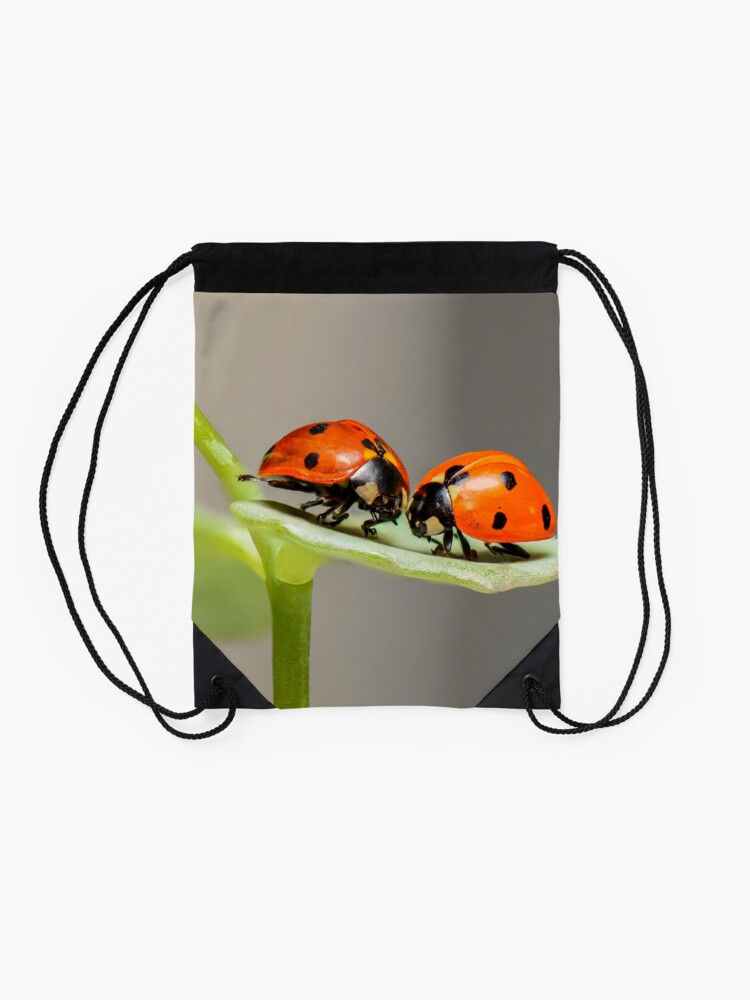 Alternate view of Ladybugs Drawstring Bag