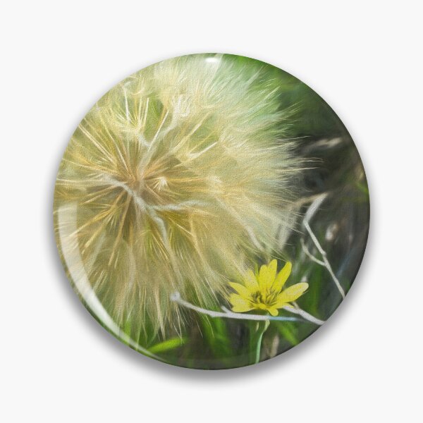 Item preview, Goats beard illustration designed and sold by CanadianWild418.