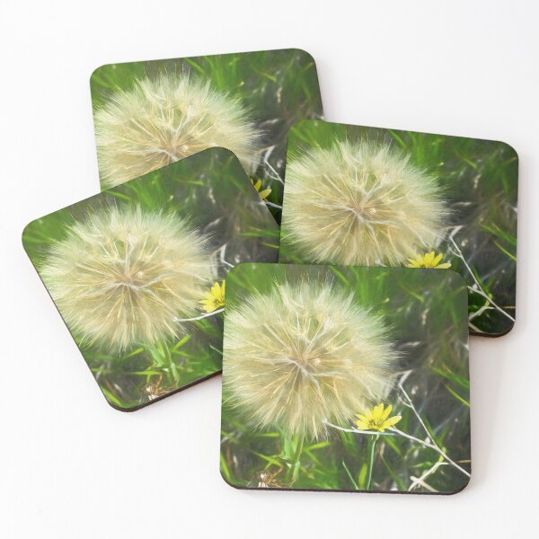 Item preview, Goats beard illustration designed and sold by CanadianWild418.