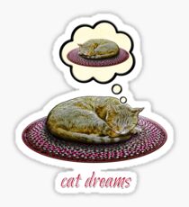 Cat Dreams Sticker