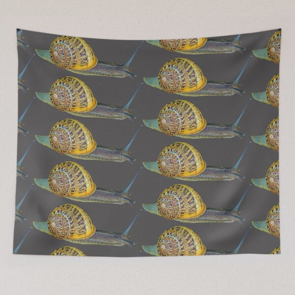 Item preview, Race Track Snail designed and sold by Dalyndigital Photography.