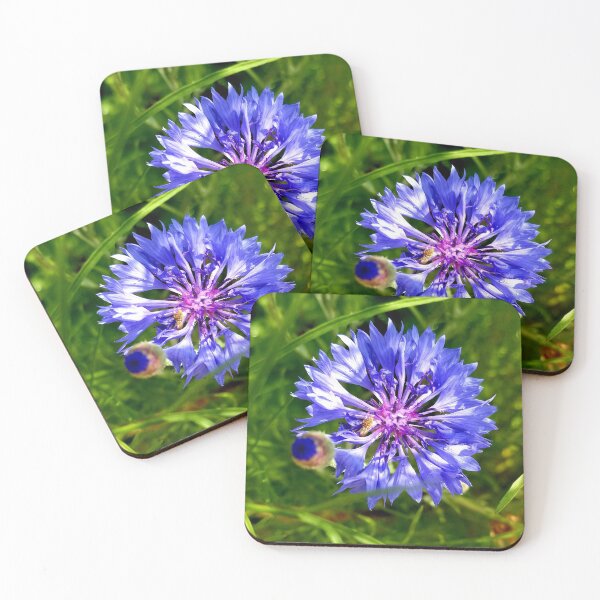 Item preview, Purplish Blue Cornflower  designed and sold by AmandaFaye99.