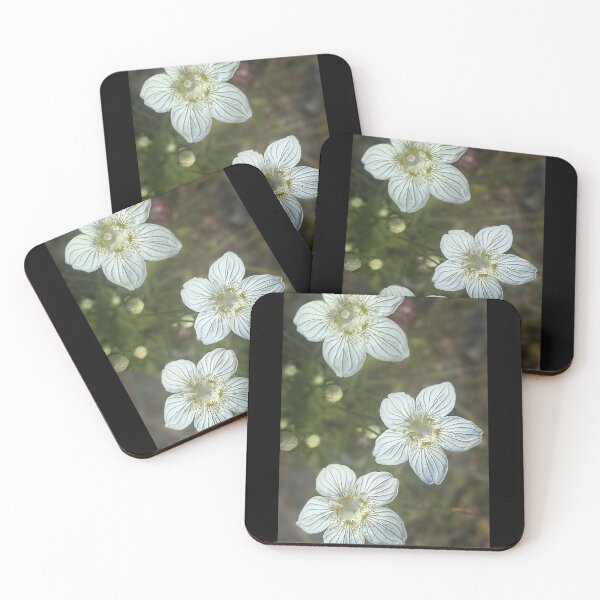 Item preview, Marsh grass of Parnassus flowers designed and sold by Fluffycat2020.