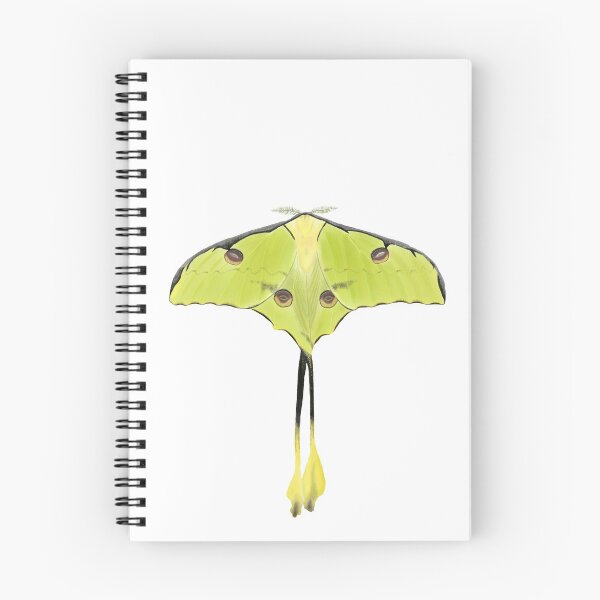 Item preview, African Luna Moth with wartercolour designed and sold by AndrasVasasArt.