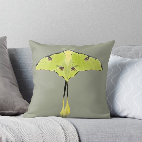 Item preview, African Luna Moth with wartercolour designed and sold by AndrasVasasArt.
