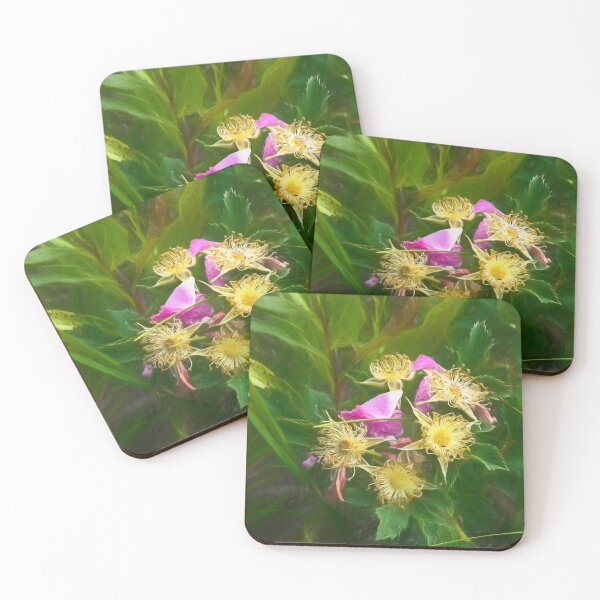 Item preview, Wild rose illustration designed and sold by CanadianWild418.