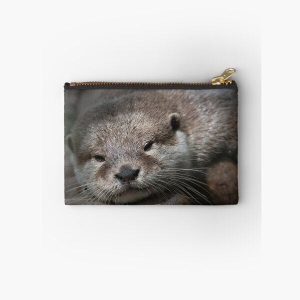 Item preview, Asian Short Clawed otter designed and sold by Darren Wilkes.