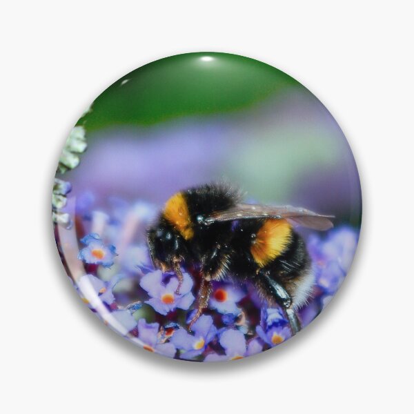 Item preview, Looking - A View designed and sold by Carl Gaynor.
