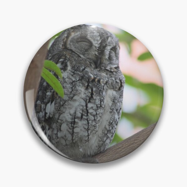 Item preview, Sleeping owl designed and sold by LitchiArt.