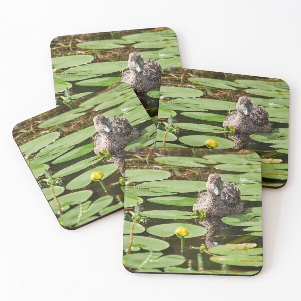Item preview, The brave female. Eurasian wigeon designed and sold by Jouko Lehto Photography.