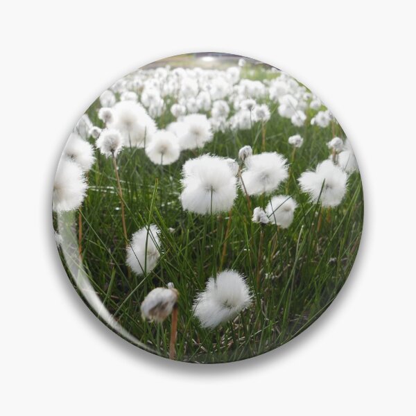 Item preview, Arctic Cottongrass in Longyearbyen, Svalbard designed and sold by Melodie Maker art.