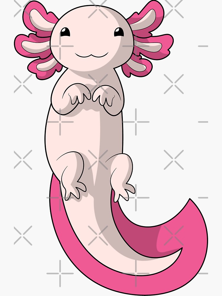 Pink Axolotl | Cute Anime Axolotl Illustration\