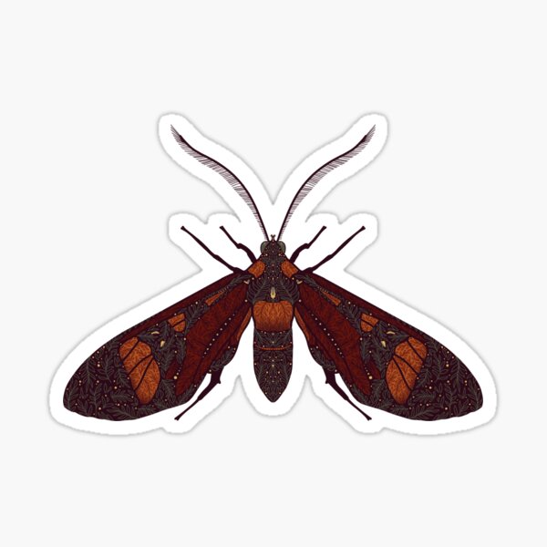 Polyphemus Moth Sticker — Andrea Dingeldein