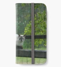 Cat on a Fence Post iPhone Wallet/Case/Skin