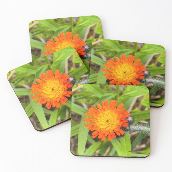 Artikelvorschau, Orange Wildblume entworfen und verkauft von BRP-SHOP.