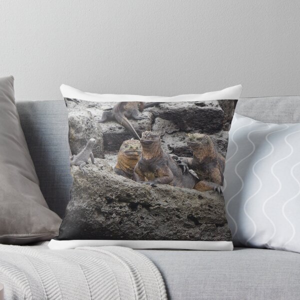 Item preview, Marine Iguana - San Cristobal Island - Galapagos designed and sold by David Galson.