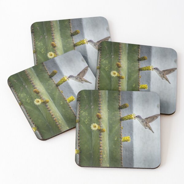 Item preview, Colibrí and cactus designed and sold by Cat Calhoun.