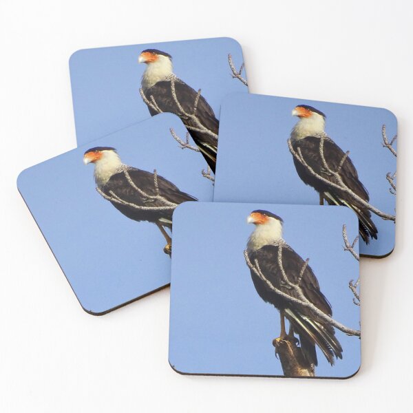 Item preview, Caracara designed and sold by Dead-Moroz.