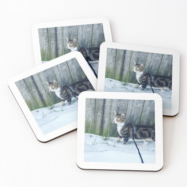 Item preview, Bailey the tomcat  designed and sold by John Gault.