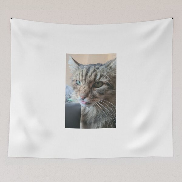Item preview, Rude cat designed and sold by John Gault.