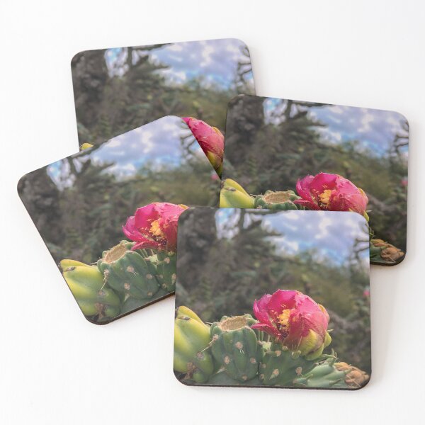 Item preview, Prickly Pear Blossom designed and sold by Cat Calhoun.