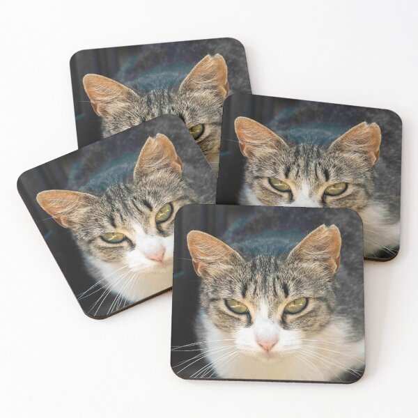 Item preview, El Gato Locuaz designed and sold by theluckystore.