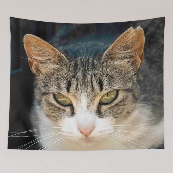 Item preview, The Loquacious Cat designed and sold by theluckystore.