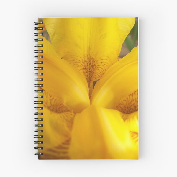 Item preview, In the Center of Things designed and sold by Ann Allerup.