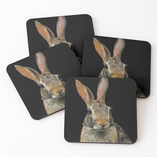 Item preview, Cottontail Rabbit designed and sold by KathyGail.