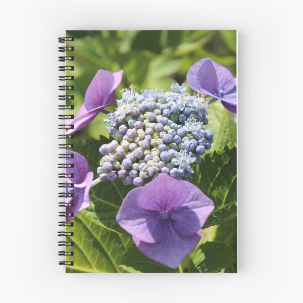Item preview, Hortensia designed and sold by Marije Kouyzer.