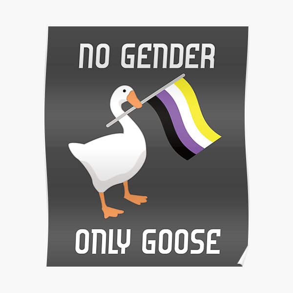 "No Gender Only Goose Nonbinary Pride Flag LGBTQ" Poster by ChailynReed