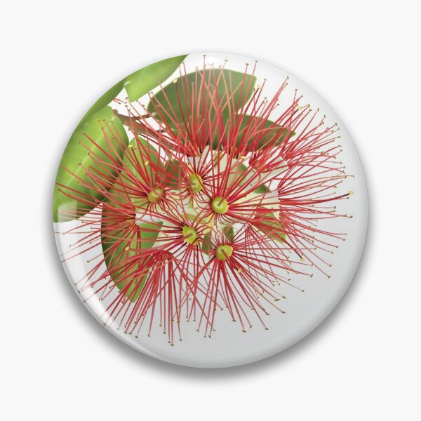 Item preview, Pohutukawa Blossoms - New Zealand Botanical designed and sold by MHen.