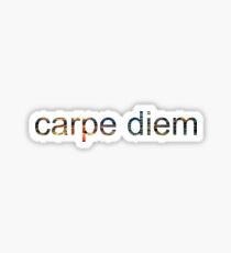carpe diem Sticker