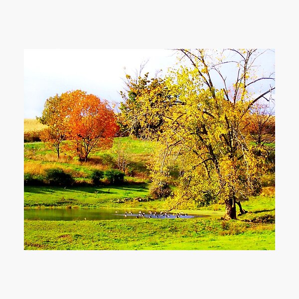 Item preview, Pastoral designed and sold by Rodney Williams.