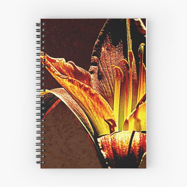 Item preview, Wondrous Hocuspocus designed and sold by Jean Gregory Evans.