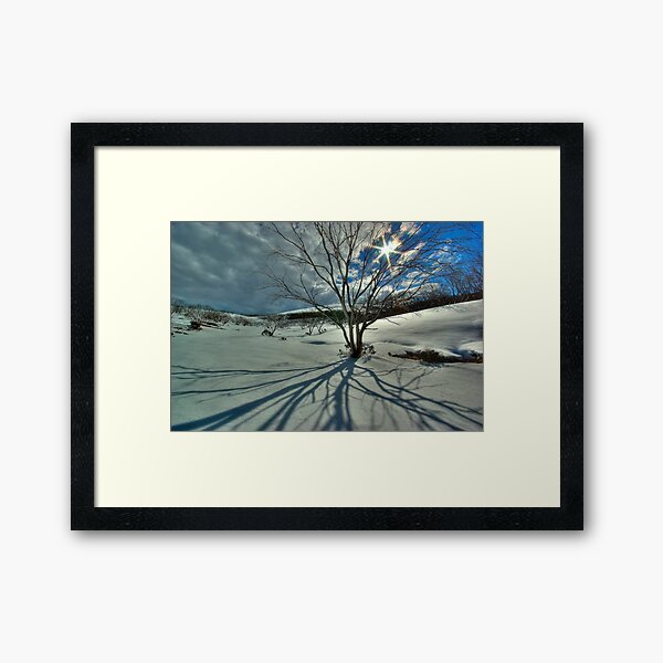 Burnt snowgums, Bogong High Plains Framed Art Print