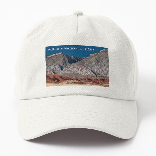 Bighorn National Forest Dad Hat