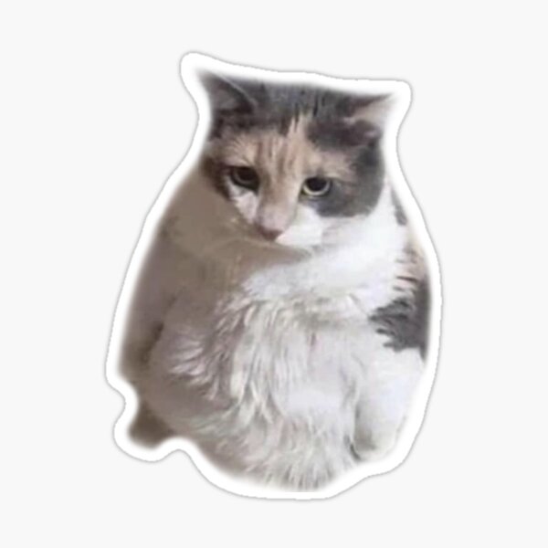 Grumpy Cat Stickers