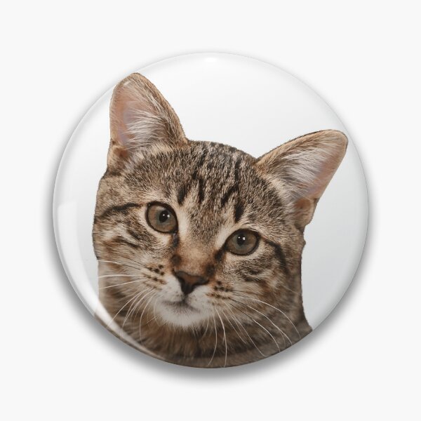 Item preview, Cat lover designed and sold by kharshii.