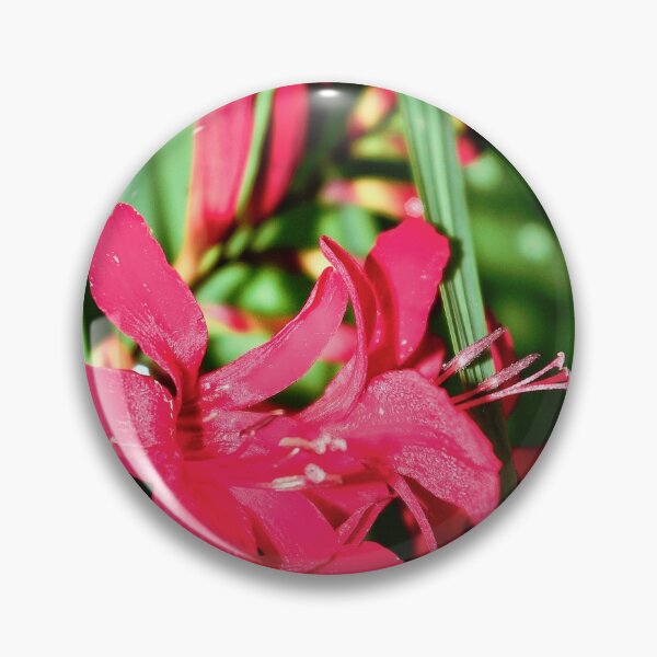 Item preview, Looking - A View  designed and sold by Carl Gaynor.