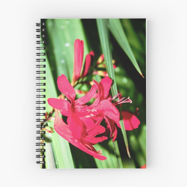 Item preview, Looking - A View  designed and sold by Carl Gaynor.