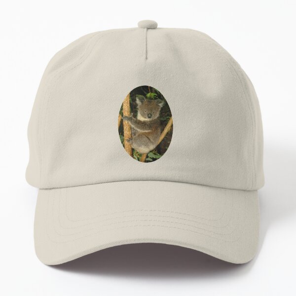 Koala in tree Dad Hat