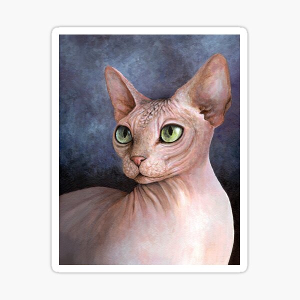 Cat 578 Sphynx cat Sticker