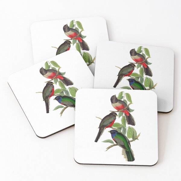 Item preview, Trogon Bird designed and sold by MicbellaArt.