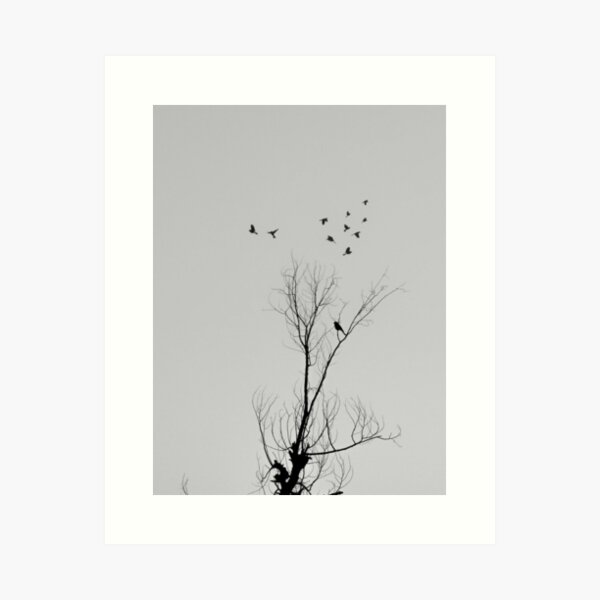 Crows Nest Art Print