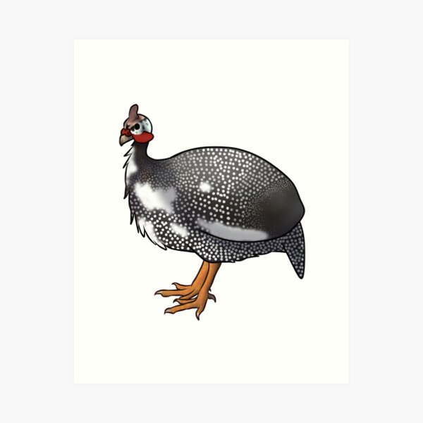 Fine Art Print - Guinea Fowl Fine Art Print - by Katie Cardew