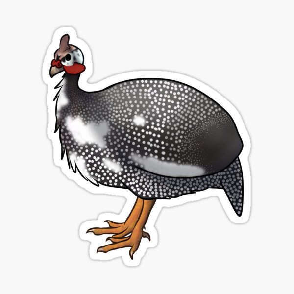 Item preview, Pied Pearl Grey Guinea Fowl designed and sold by Clucky-Designs.