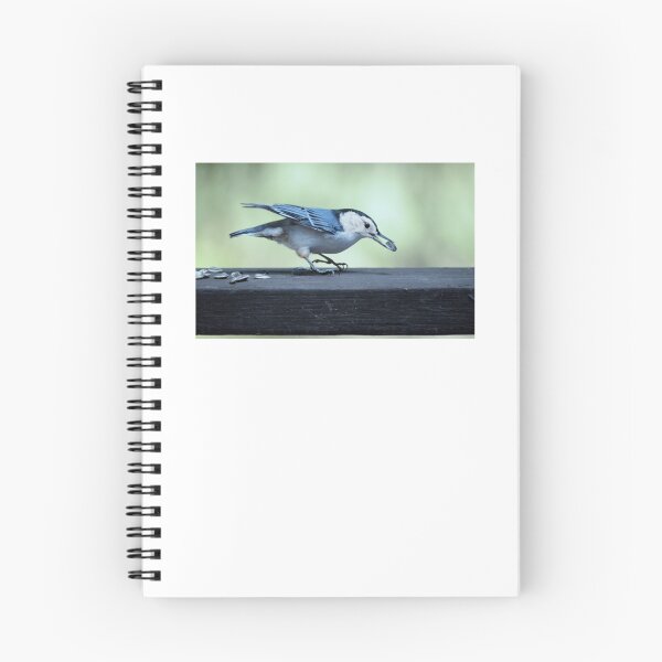 Item preview, Nuthatch designed and sold by Laurie Minor.