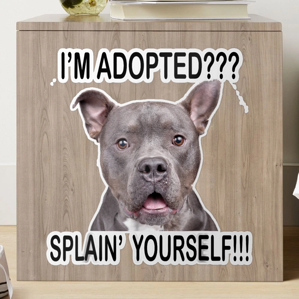 Pit Bull Puppy Jigsaw Puzzle by Square Dog Photography 